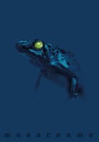 Pigna Monocromo Blue 38 lapos A4 vonalas füzet - Többfajta