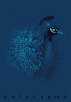 Pigna Monocromo Blue 38 lapos A4 vonalas füzet - Többfajta