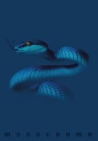 Pigna Monocromo Blue 38 lapos A4 kockás füzet - Többfajta