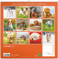 Realsystem 6097-PU 2024-es Puppies falinaptár