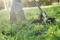 DeWalt DCMASST1N-XJ Tartalék vágófej