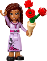 LEGO® Disney: 30661 - Asha üdvözlőállványa
