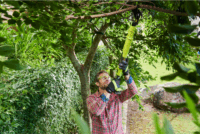 Ryobi OLP1832BX Akkumulátoros ágvágó (Akku és töltő nélkül)