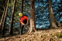 Metabo MS 36-18 LTX BL 40 Akkumulátoros Láncfűrész (Akku és töltő nélkül)