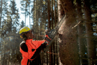 Metabo MS 36-18 LTX BL 40 Akkumulátoros Láncfűrész (Akku és töltő nélkül)