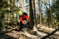 Metabo MS 36-18 LTX BL 40 Akkumulátoros Láncfűrész (Akku és töltő nélkül)