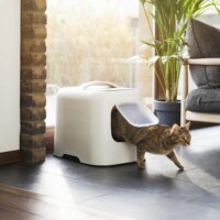 Rotho Biala macskaalom - Fehér