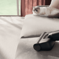 Electrolux EP71AB14UG Animal 700 Porzsák Nélküli porszívó - Szürke