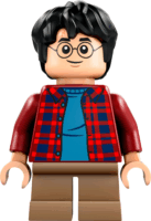 LEGO® Harry Potter: 76424 - Repülő Ford Anglia