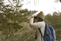 Pentax 12x50 Jupiter Távcső - Fekete