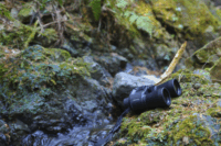 Pentax 16x50 Jupiter Távcső - Fekete