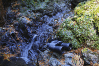 Pentax 16x50 Jupiter Távcső - Fekete