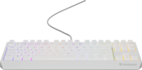 Genesis Thor 230 TKL (Outemu Brown Switch) RGB Vezetékes Gaming Mechanikus Billentyűzet (Fehér) - Angol (US)