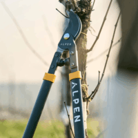 Alpen Weisshorn 260 Metszőolló