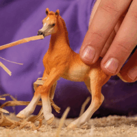 Schleich Horse Club: Kis arab csikó figura