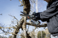 Metabo MS 18 LTX 15 18V Akkumulátoros Ágvágó Láncfűrész (Akku és töltő nélkül)