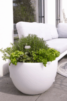 8 Seasons Design Shining Curvy Pot XM Napelemes virágcserép