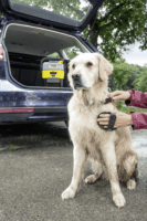 Kärcher 2.643-874.0 Állatszőr kefe