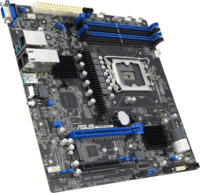 Asus P13R-M/10G-2T Alaplap