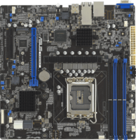 Asus P13R-M/10G-2T Alaplap