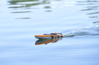 Dickie Toys Sea Hawk távirányítós hajó - Narancssárga