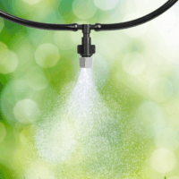 Garden of Eden 11679 Párakapu - 10m