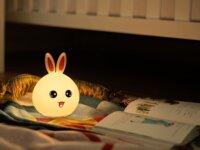 Tracer Bunny Éjszakai fény