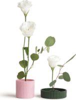 Ototo Blossom 2 Darabos Váza Dekorációs Készlet - Zöld/Rózsaszín