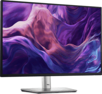 Dell 24" P2425 Monitor