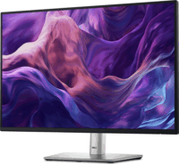Dell 24" P2425E Monitor