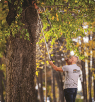 Villager TP 119 Teleszkópos ágvágó