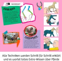 KOSMOS 658205 Traumpferd - Fonal kézműves készlet