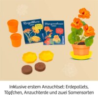 KOSMOS 658175 Kreatív Növénynevelő és Virágprés Kísérleti készlet