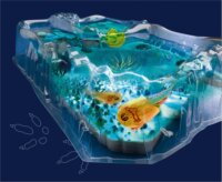 KOSMOS 637231 Fun Science - Triopsz Tenyésztő Kísérleti Készlet