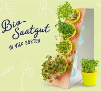 KOSMOS 636135 Mikro zöldségkert Kísérletező készlet