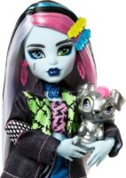 Mattel HXH73 Monster High Frankie Stein Baba
