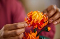 LEGO® Botanical Collection: 10368 - Krizantém