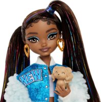 Mattel HYC22 Barbie Dream Besties Brooklyn baba kiegészítőkkel