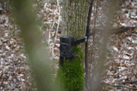 Braun Scouting Black300 Vadkamera