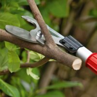 Bosch AdvancedPrune 18V-45 Solo Akkus ágvágó olló