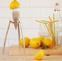 Alessi PSJS Juicy Salif Rozsdamentes Acél Citromfacsaró - Ezüst