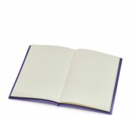 Dickie Wednesday Titkos napló Mágikus UV tollal - Lila