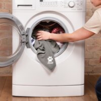 Vileda Pet Pro ALWAYS CLEAN Állatszőr kefe 3 részes takarító készlet