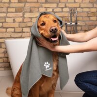 Vileda Pet Pro ALWAYS CLEAN Állatszőr kefe 3 részes takarító készlet