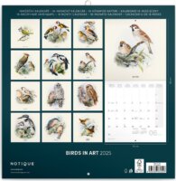 Realsystem 300 x 600mm 2025 Falinaptár - Madarak