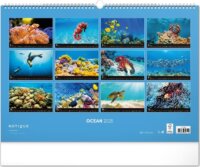 Realsystem 330 x 460mm 2025 Falinaptár - Óceán