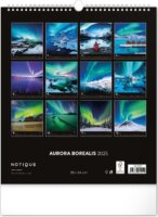 Realsystem 300 x 340mm 2025 Falinaptár - Sarki Fény