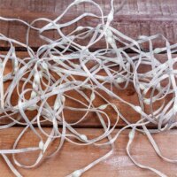 Delight Smart Kültéri 66 db RGBIC LED Okos Fényfüzér 10m - Színes