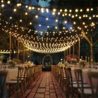 Garden of Eden 58384 Kültéri Beltéri SMART fényfüzér 15m 25db