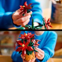 LEGO® Icons: 10370 - Karácsonyi cserepes Mikulásvirág